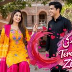 Tere Naal Zindgi