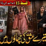 Urdu Short Stories 15